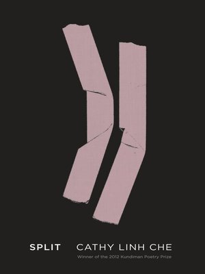 cover image of Split